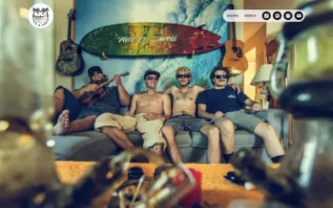 Screenshot if niceandswell.com website