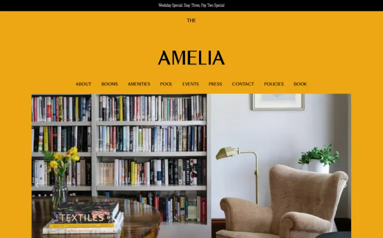Screenshot if theamerliahudson.com website